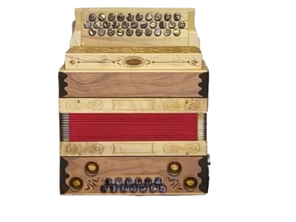 die erste model von unseren harmonikas